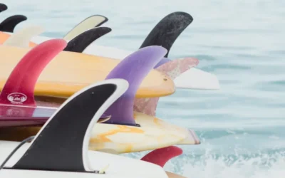 Buying Your First Longboard Surfboard? Read This First…